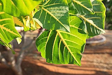 宫本茂自称并不反对射击类和暴力游戏