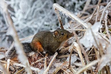 《异度神剑3》官方发布BGM 「A Formidable Enemy」试听